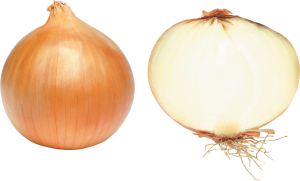 Onion PNG image-3825